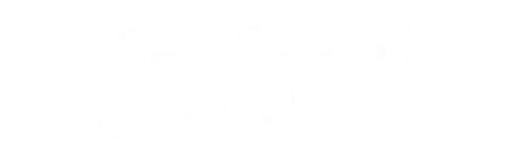 15.webp